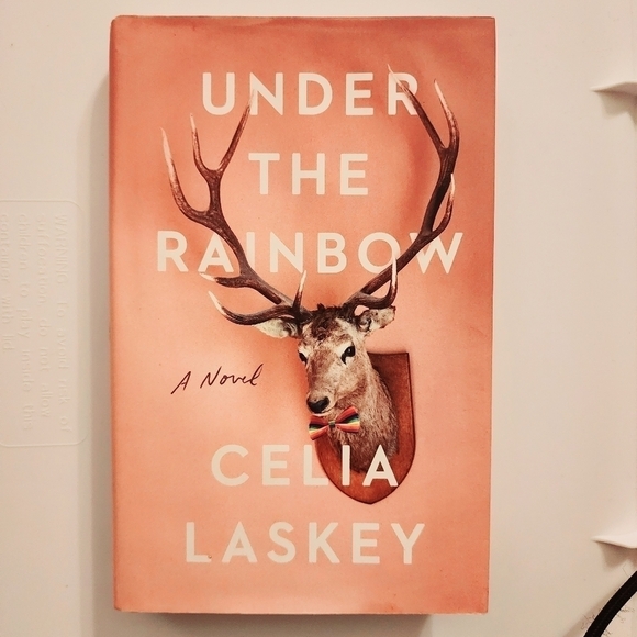 Under The Rainbow A Novel by Celia Laskey LGBTQ+ Small Town Story EUC - Picture 1 of 4